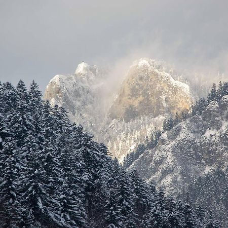 Ubytovanie U Jozefa Cerveny Klastor Luaran gambar